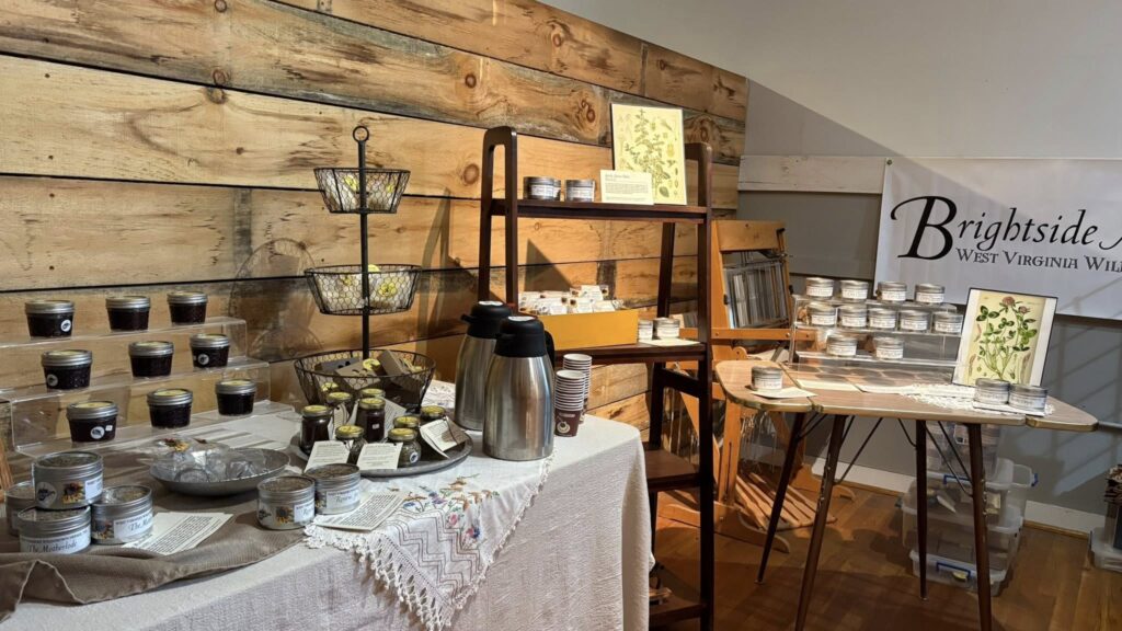 Moore House Inn - Marlinton, WV